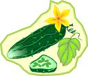 cucumber