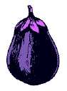 eggplant